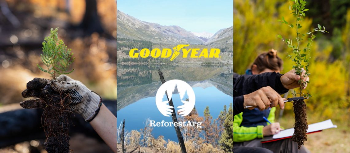 Goodyear Arboles-1 Goodyear Arboles-1