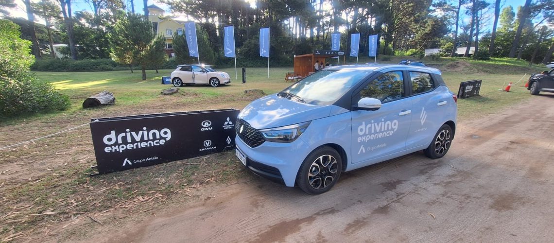 WhatsApp Image 2026-01-17 at 08.42.13